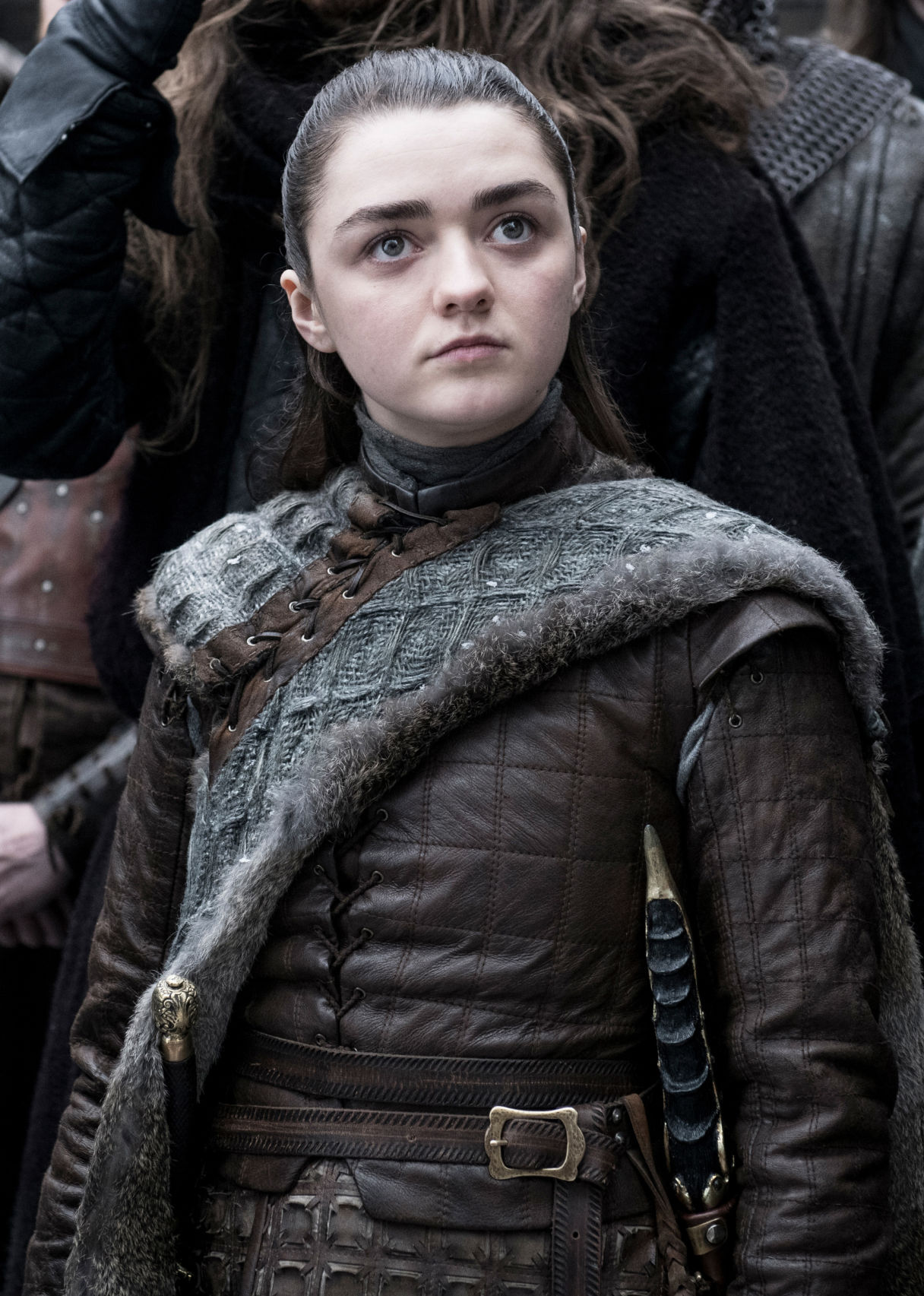 Arya 3